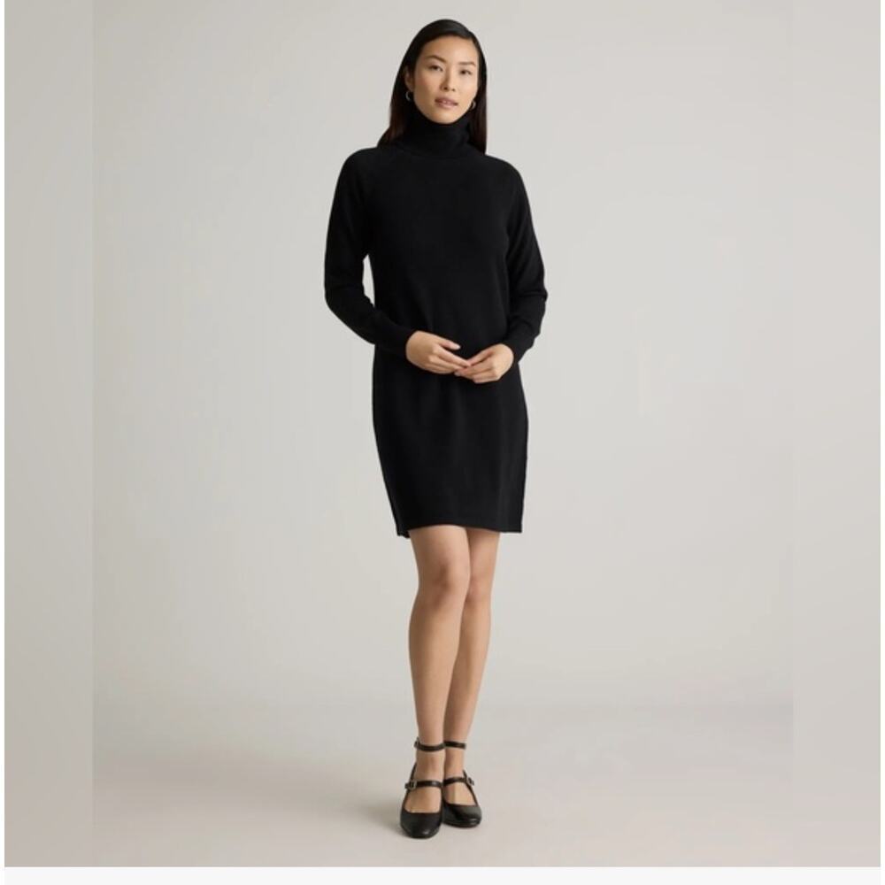 Copied - New! Quince Wm’s Mongolian Cashmere Turtleneck Sweater Dress Sz XS #126